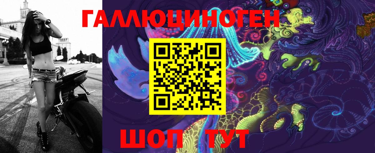 Галлюциногенные грибы Psilocybine cubensis  Назрань 