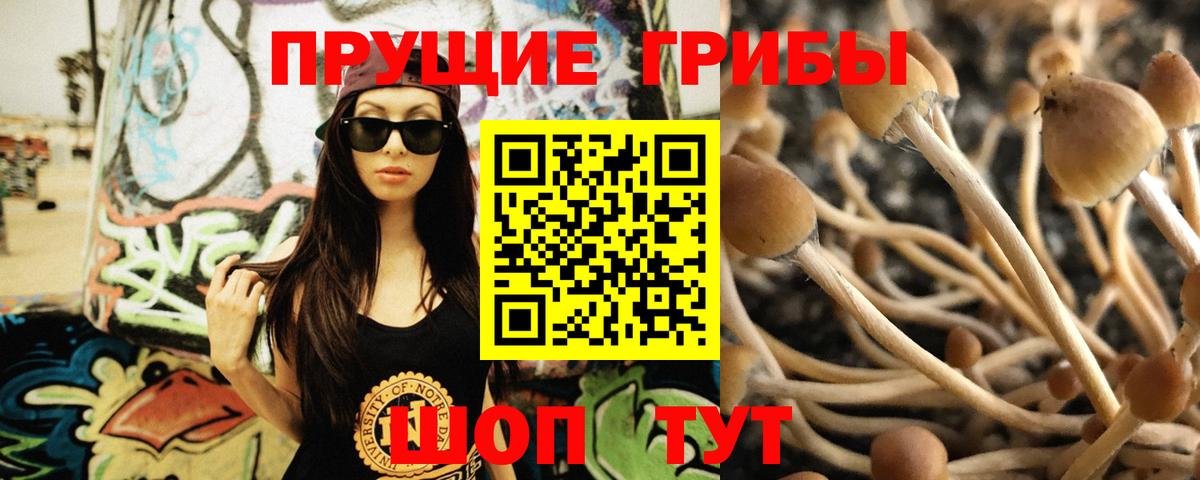 Псилоцибиновые грибы мухоморы  Вход с VPN  Назрань  Псилоцибиновые грибы Cubensis 